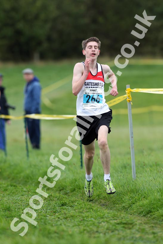 Blue 266, North-East Harriers League, Cramlington